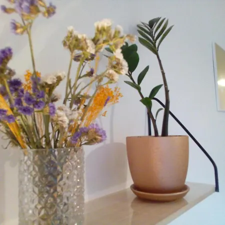 Apartamento Lucky Charm