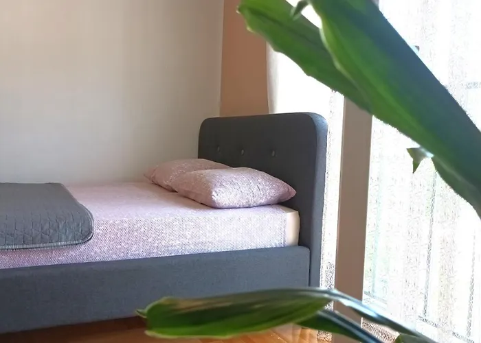 Lucky Charm تريبينيي